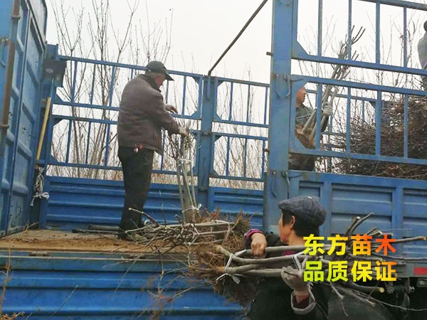 装车现场
