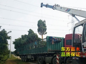 装车现场