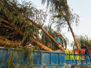 装车现场