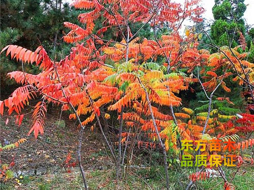 戳我试试