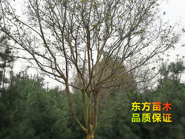 戳我试试