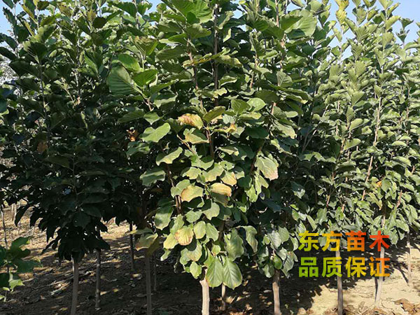 戳我试试