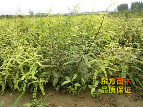 戳我试试