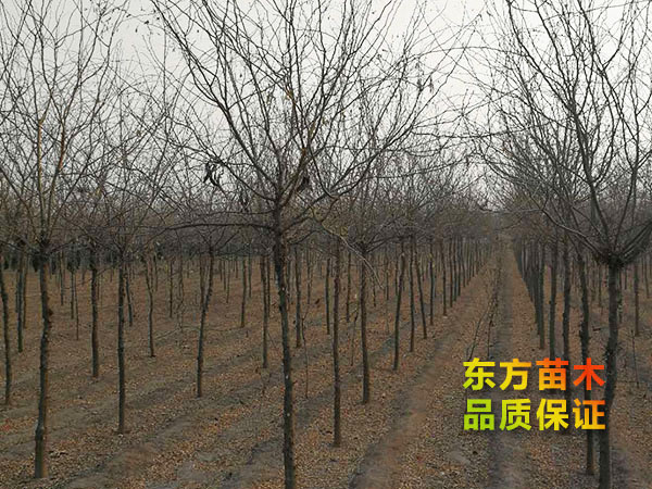 戳我试试