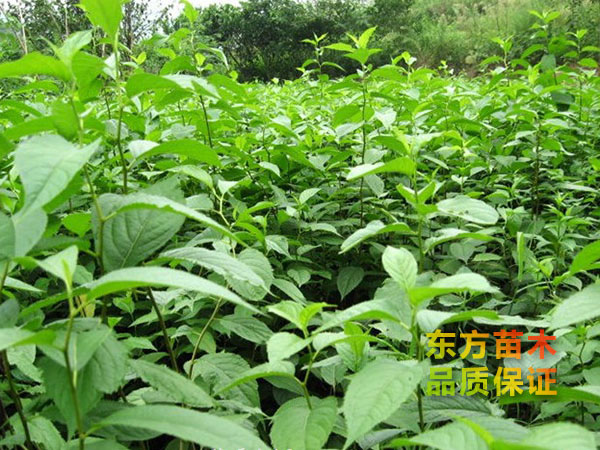 戳我试试