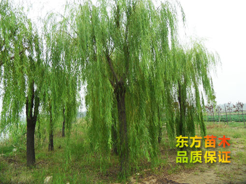 戳我试试