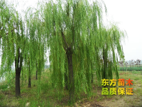 戳我试试