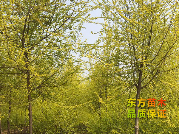戳我试试 戳我试试