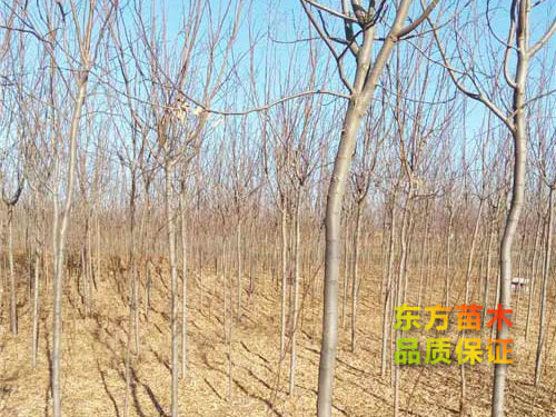 戳我试试