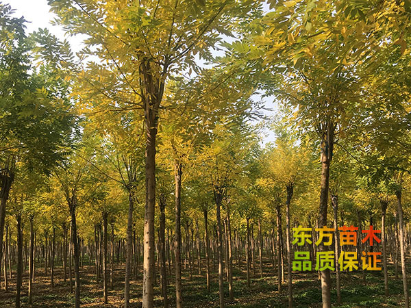 戳我试试