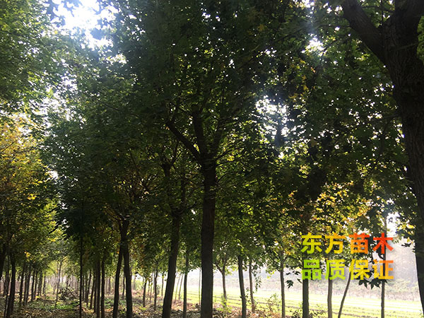 戳我试试 戳我试试